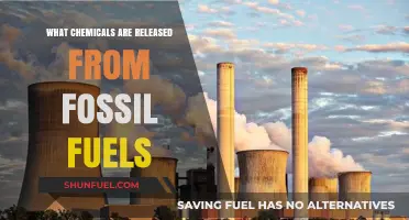 Fossil Fuels: Understanding the Chemical Fallout