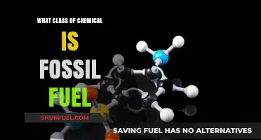 Fossil Fuels: A Class of Organic Compounds