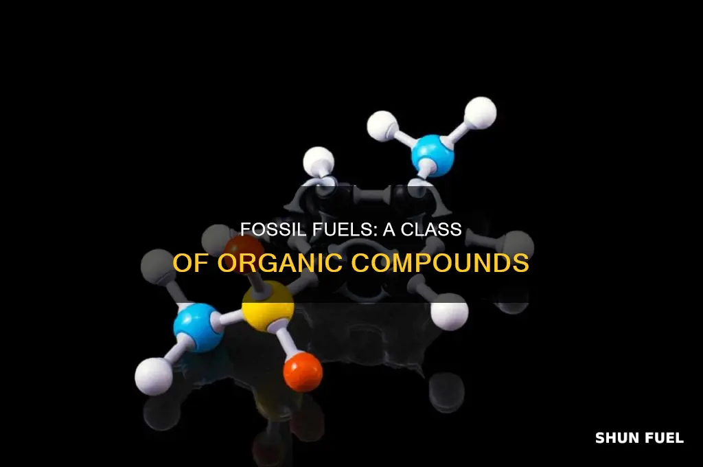 what class of chemical is fossil fuel