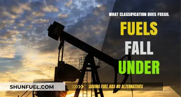 Fossil Fuels: Non-Renewable Energy Sources Explained