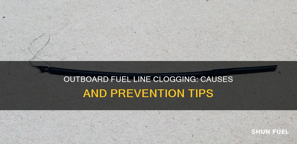 what clogs outboard fuel lines