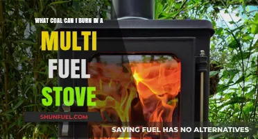 Best Coal Types for Multi-Fuel Stoves: A Comprehensive Burning Guide