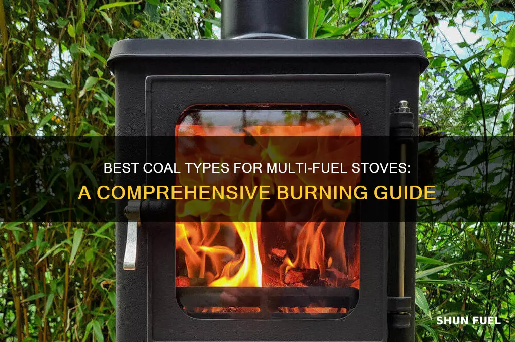 what coal can i burn in a multi fuel stove