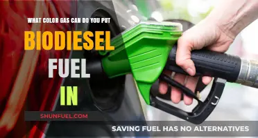 Biodiesel Fuel Storage: Choosing the Right Color Gas Can