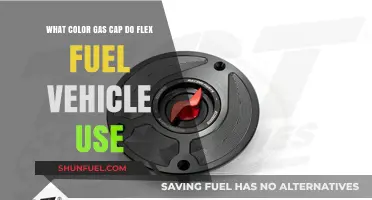 Flex Fuel Vehicle Gas Cap Colors: What You Need to Know