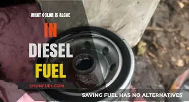 Algae in Diesel: Identifying the Color and Its Causes