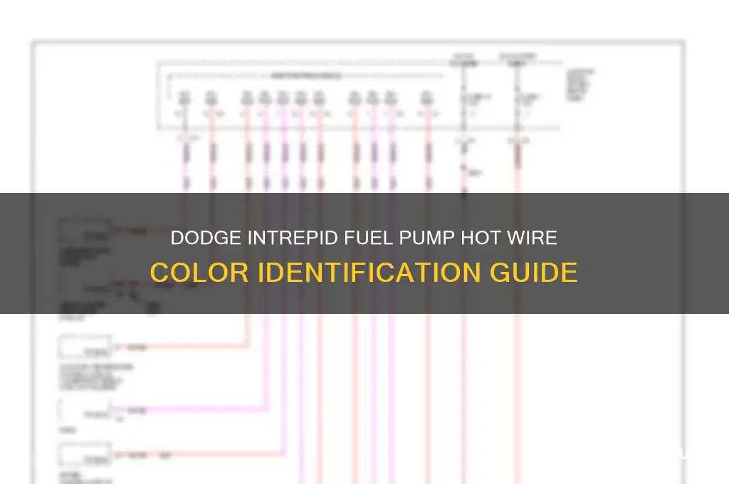 what color is the dodge intrepid fuel pump hot wire