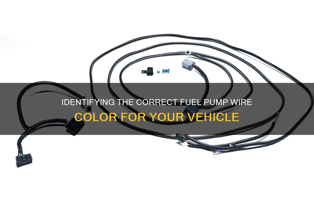 what color is the fuel pump wire