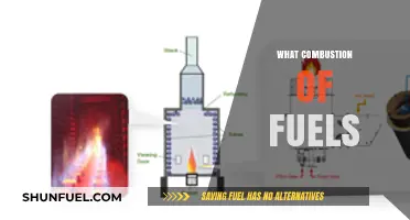 Understanding the Combustion of Fuels: Process, Types, and Environmental Impact