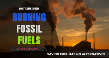 The Dark Side of Burning Fossil Fuels