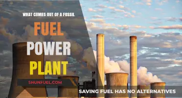 The Dark Side of Fossil Fuel Power Plants
