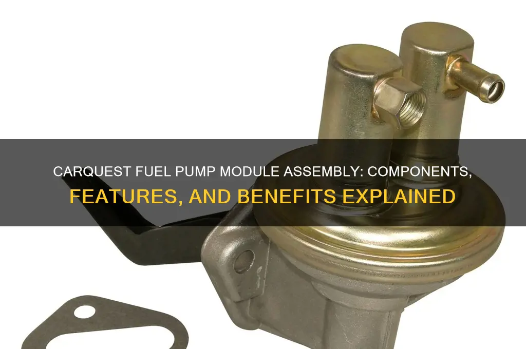 what comes with the carquest fuel pump module assembly