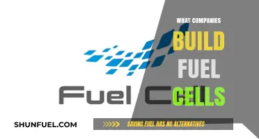 Leading Companies Revolutionizing Energy with Advanced Fuel Cell Technology