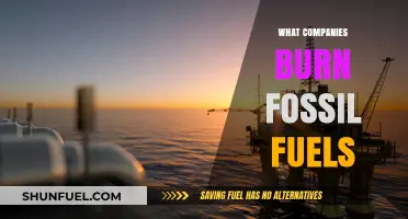 Who's Burning Fossil Fuels? Top Corporate Emitters Revealed