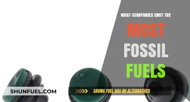 Which Corporations are the Top Fossil Fuel Emitters?