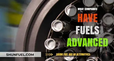 Innovative Companies Driving the Future of Advanced Fuel Technologies