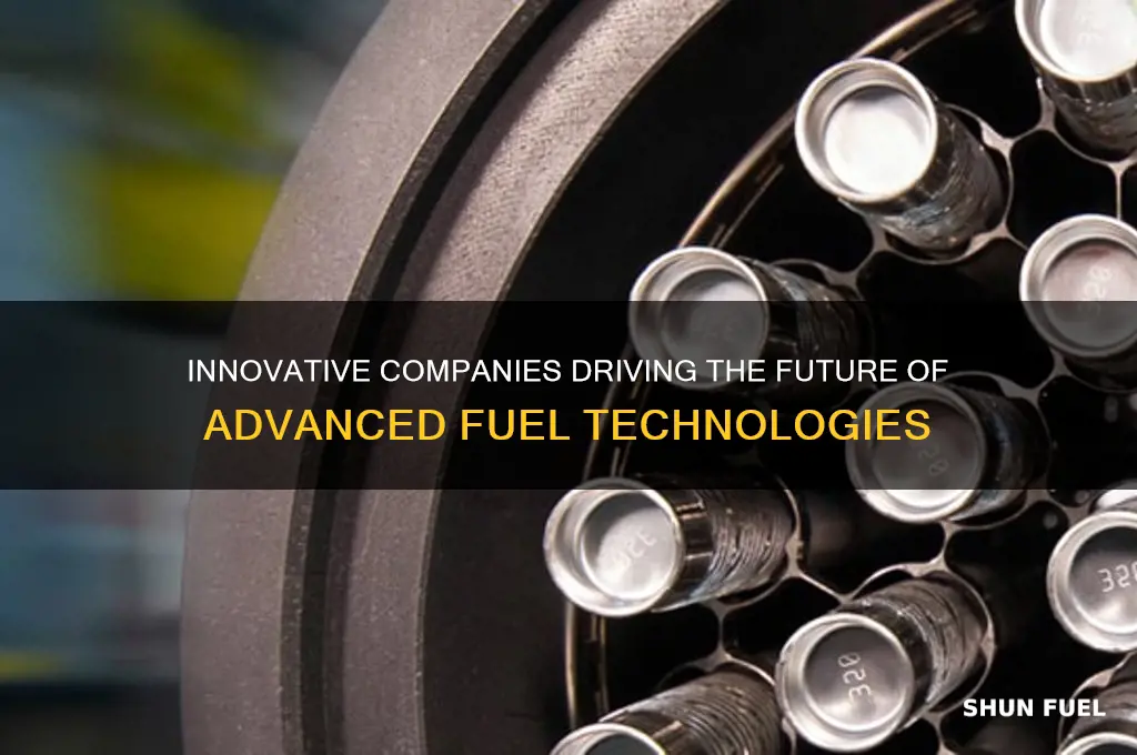 what companies have fuels advanced
