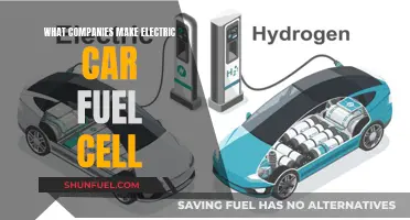 Electric Car Fuel Cells: Who's Leading the Charge?