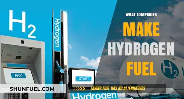 Leading Companies Producing Hydrogen Fuel for a Sustainable Future