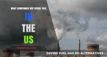 Which US Companies Still Rely on Fossil Fuels?