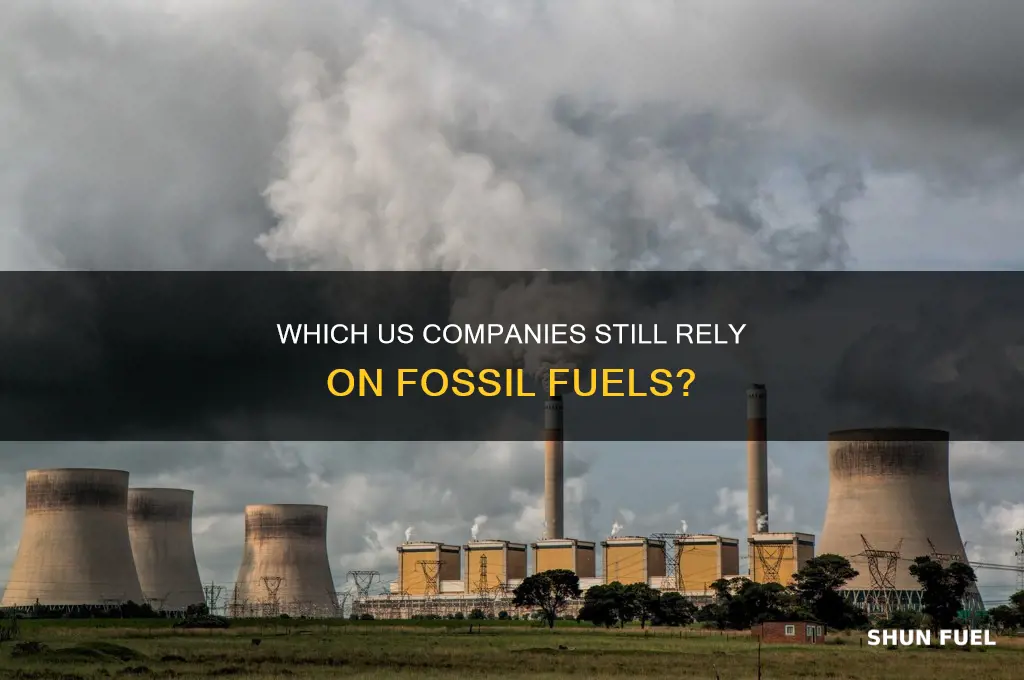 what companies use fossil fuel in the us