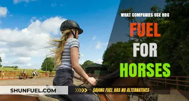 Hog Fuel for Horses: Which Companies Utilize This Unique Bedding?