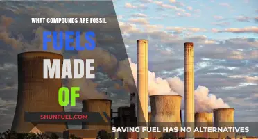 Fossil Fuels: Compounds and Their Impact