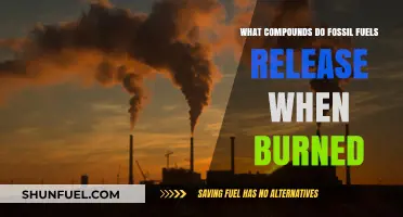 Burning Fossil Fuels: Understanding the Toxic Cocktail