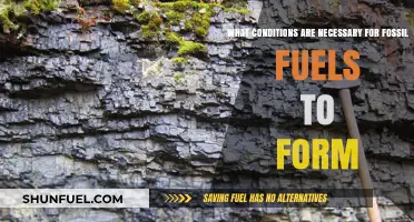 How Fossil Fuels Form: Conditions Needed