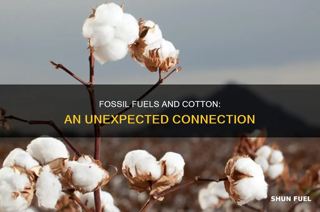 what connection does my cotton t-shirt have with fossil fuels