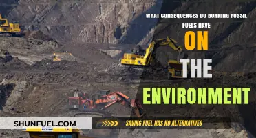 Fossil Fuel Burning: Damaging Our Planet's Health