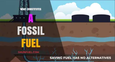 Fossil Fuels: Understanding Their Composition and Origins