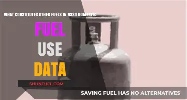 Understanding 'Other Fuels' in NSSO Domestic Fuel Use Data