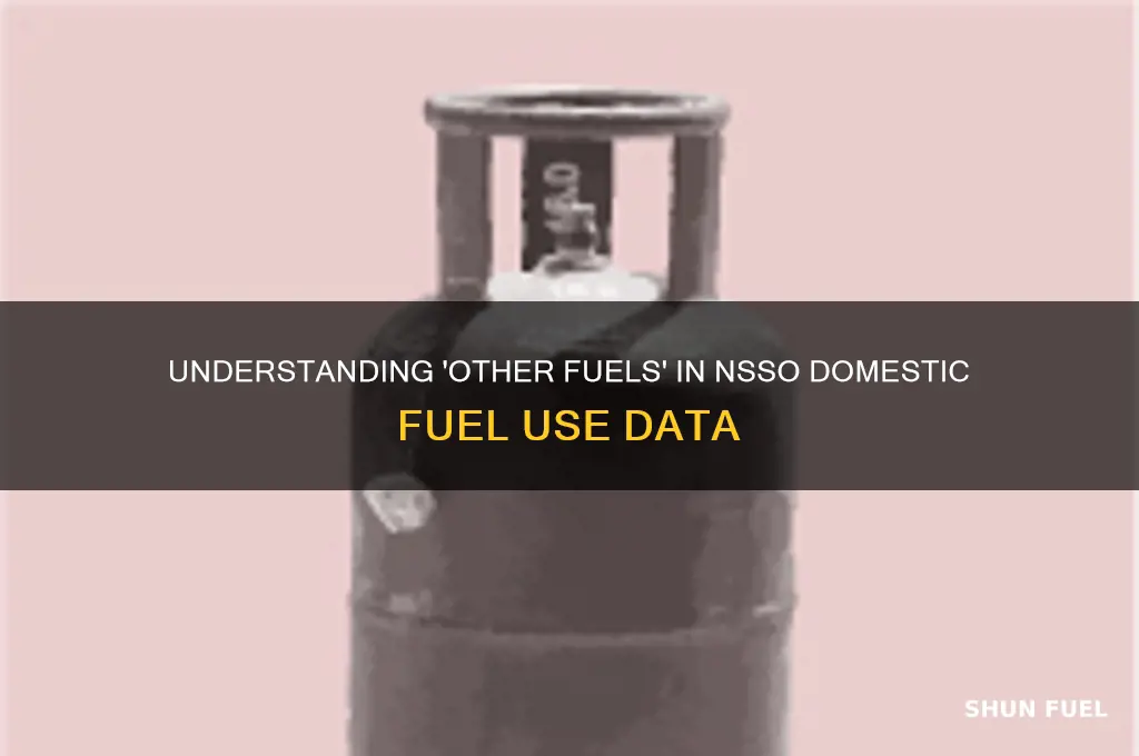 what constitutes other fuels in nsso domestic fuel use data