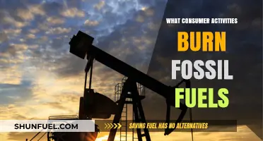 Consumer Activities: Burning Fossil Fuels Unknowingly