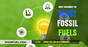 The Biggest Consumers of Fossil Fuels