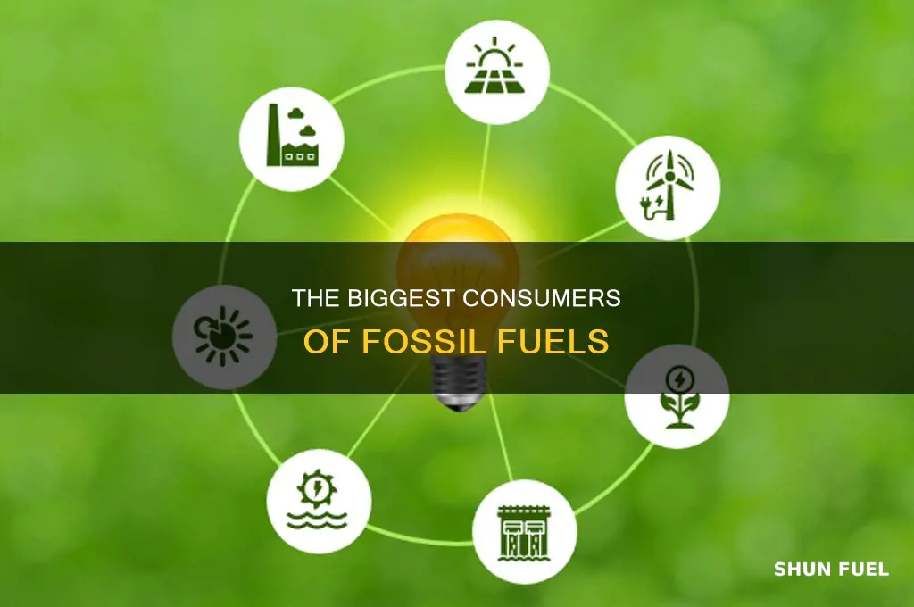 what consumes the most fossil fuels