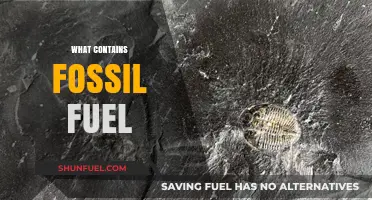 Fossil Fuels: What's in the Black Gold?