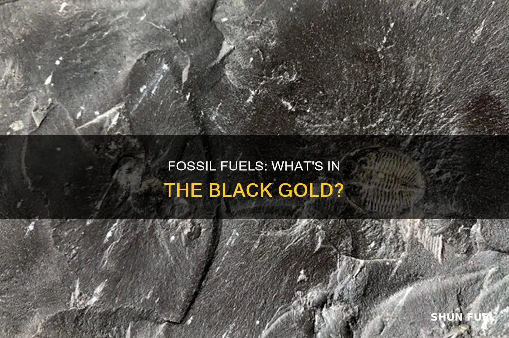 what contains fossil fuel