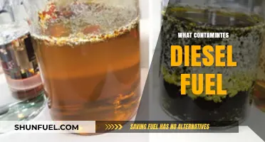 Diesel Fuel Contaminants: Understanding the Risks
