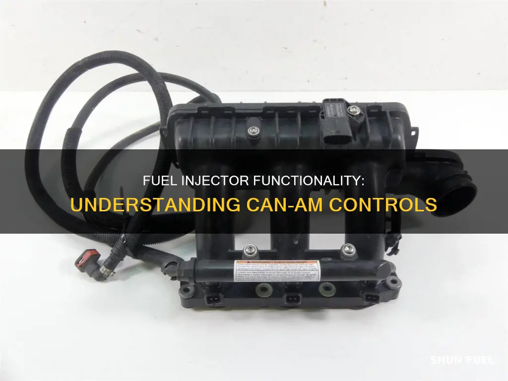 what control fuel injector on can am