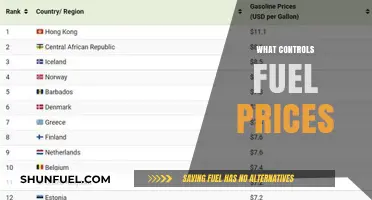 Understanding the Complex Factors That Control Global Fuel Prices