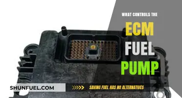 Understanding the Key Components Controlling Your ECM Fuel Pump