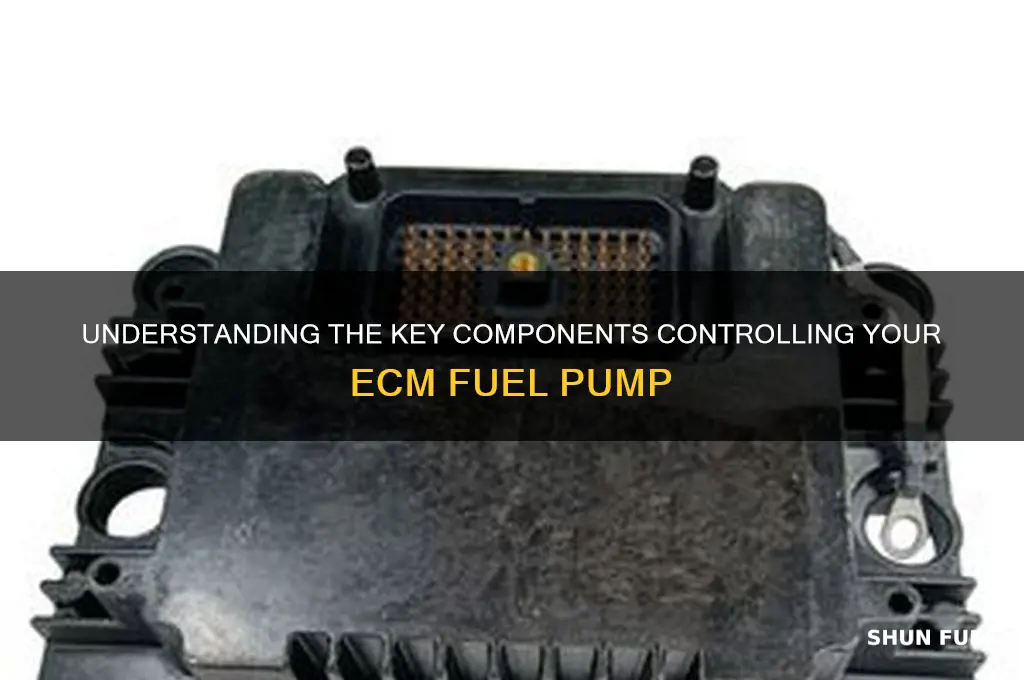 what controls the ecm fuel pump