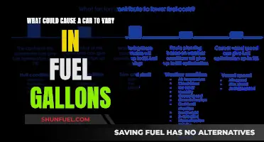 Fuel Efficiency: Variables Impacting Your Car's Gas Mileage