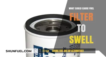 Fuel Filter Swelling: What's the Culprit?