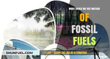 Renewable Energy Sources: Alternatives to Fossil Fuels