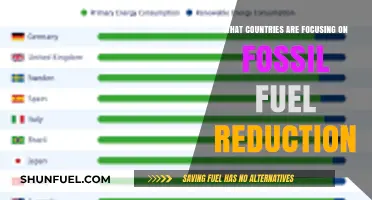 Green Energy Shift: Nations Abandoning Fossil Fuels