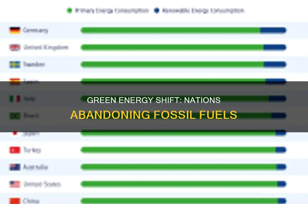 what countries are focusing on fossil fuel reduction