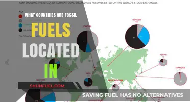 Fossil Fuel Sources: Which Countries Hold the Most?